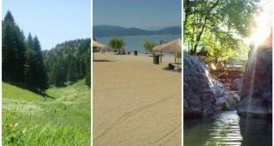 PicMonkey-Collage-650x355