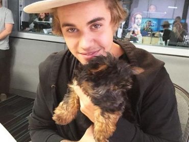 Запознајте ги кученцата на Justin Bieber (галерија/видео)