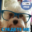 Makedonija Denes